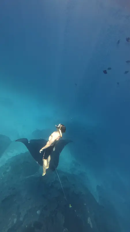 Snorkeler floating above a manta ray in clear blue water, Nusa Penida