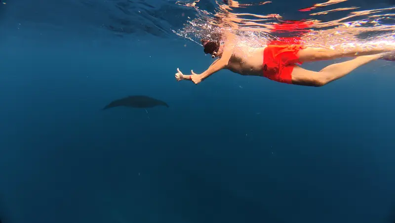 Snorkeler giving thumbs up with a manta ray silhouette below at Manta Bay