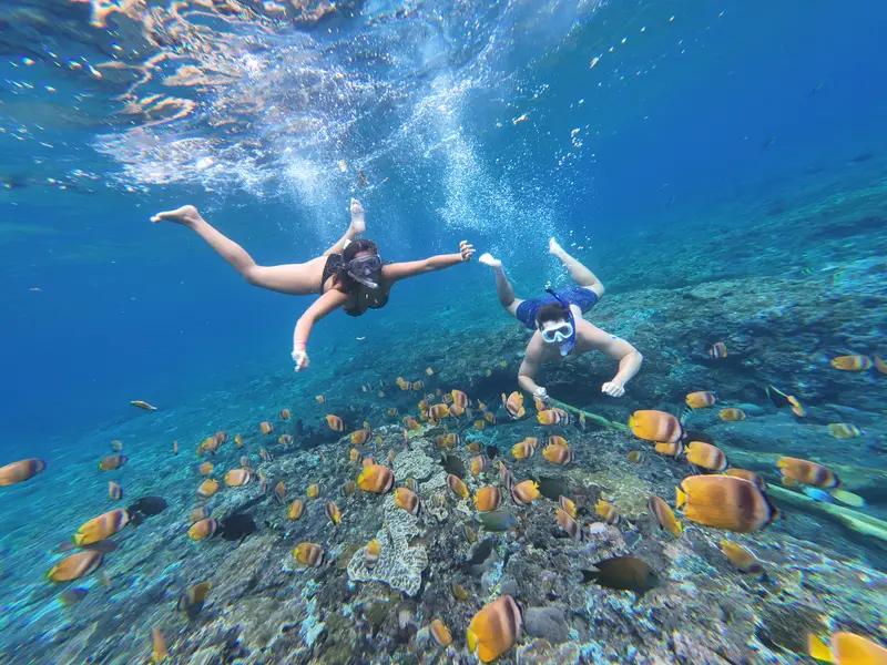 Two snorkelers surrounded by a school of butterflyfish over coral at Crystal Bay